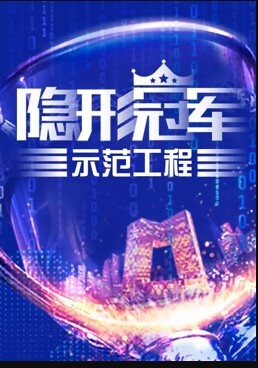隐形冠军